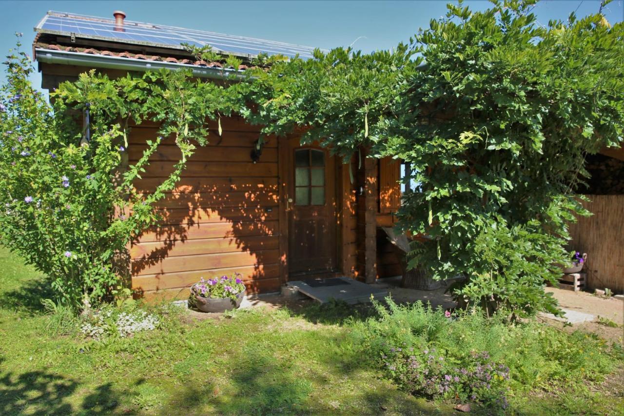 Villa Norwegisches Blockhaus Bad Muenstereifel Exterior foto